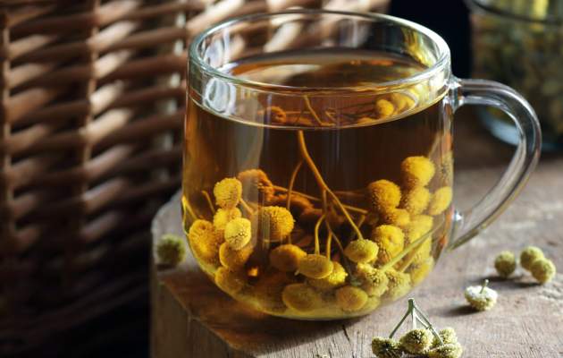 Пижма обыкновенная