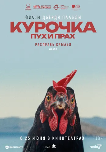 Фильм Курочка. Пух и прах в Алмате