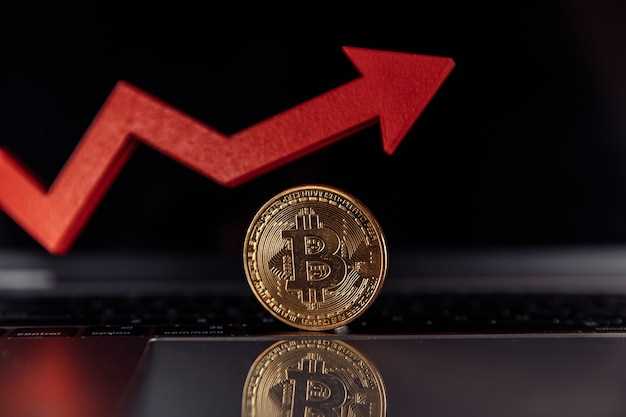 Биткоин подорожал на 10 тыс. долларов