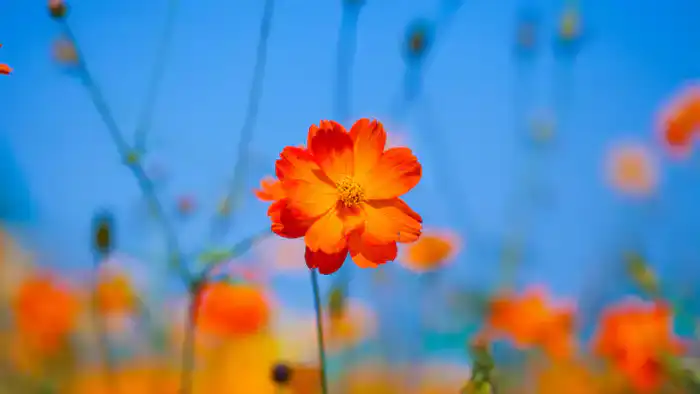 Циклон принесет в Казахстан сильные дожди и жару до 38 градусов