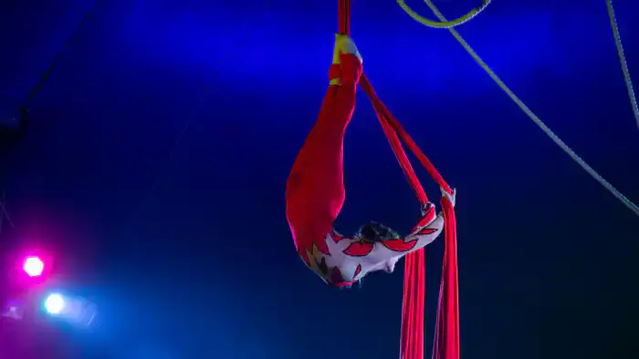 Трагедия в цирке: последствия падения гимнастки ставят под вопрос безопасность выступлений