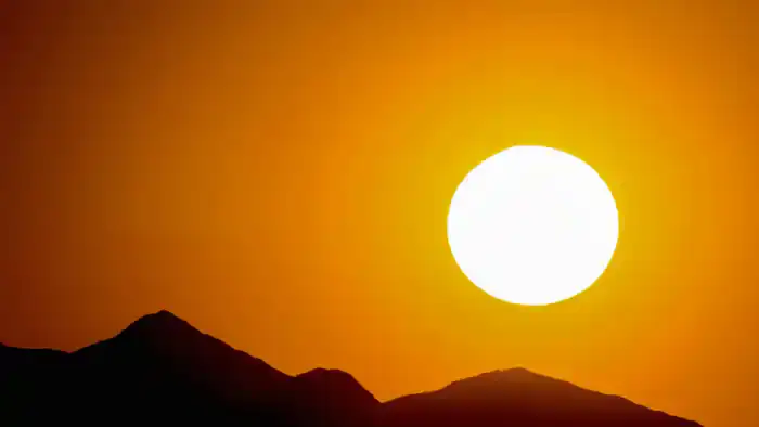 Экстремальные температурные колебания в Казахстане: как аномалии влияют на сельское хозяйство и здоровье населения