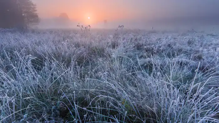 Аномальные холода в Казахстане: как заморозки повлияют на сельское хозяйство и экономику