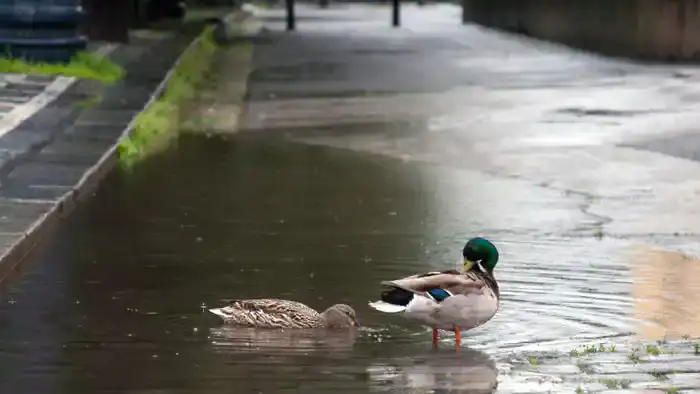 Водная стихия: как июньские ливни изменят жизнь в Астане и Алматы