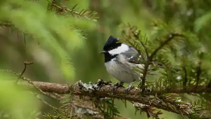 Дожди в Астане и Алматы: как изменится жизнь горожан?
