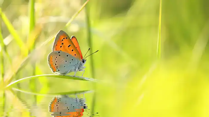 Пик температур: прогноз погоды на середину мая для Астаны и Алматы