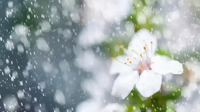 Сюрпризы продолжаются, дожди, сильный ветер и град вновь на подходе к Казахстану