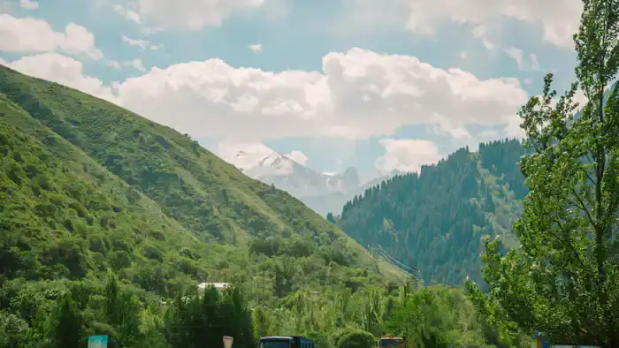 Вы рассказываете сказки. Депутата не удовлетворил ответ чиновника по вопросам застройки в национальных парках