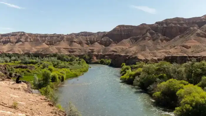 Специалисты провели осмотр русел рек после землетрясения в Алматы