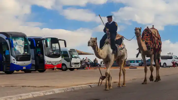 В соцсетях распространяется информация о задержаниях казахстанцев в Египте