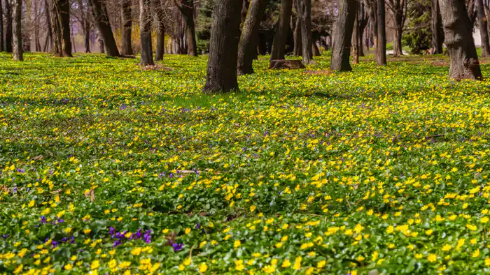 Весна в разгаре: в Астане и Алматы потеплеет до +33
