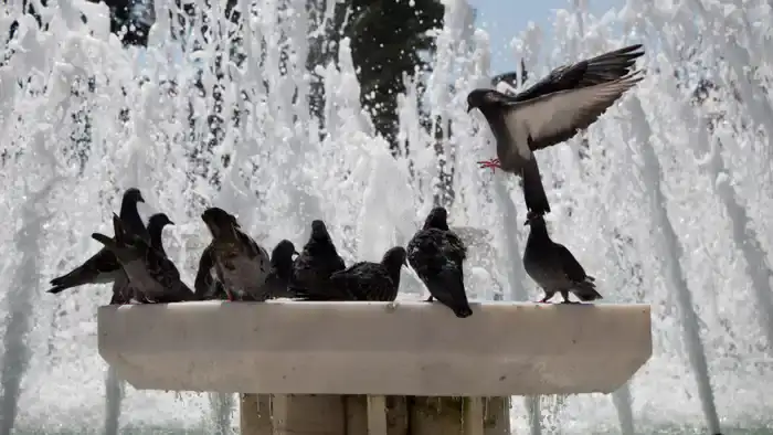 Прогноз погоды в Астане и Алматы на 16-18 мая: жара, грозы и осадки