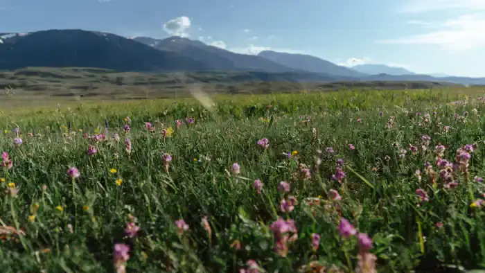 Жаркий июнь в Казахстане: как аномальная погода повлияет на урожай и здоровье