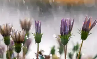 Внезапные ливни: как непогода в Астане и Алматы повлияет на повседневную жизнь горожан