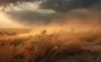 Что принесёт Казахстану 20 июня: буря или зной?