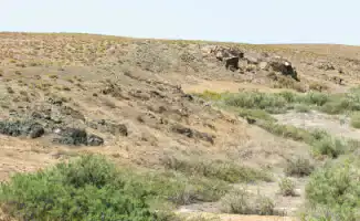 Пыльные бури и шквалы: чем удивит погода Казахстана 6 июня