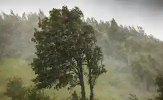 Непредсказуемая погода в Казахстане: что ждать 22 июня