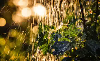 Жара или ливни: что ждет Казахстан 2 июля?