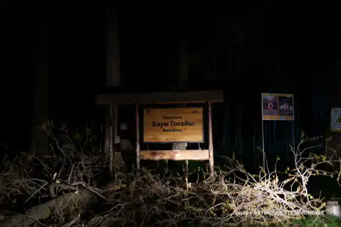 Роща Баума в Алматы не освещена, 31 марта 2025 года