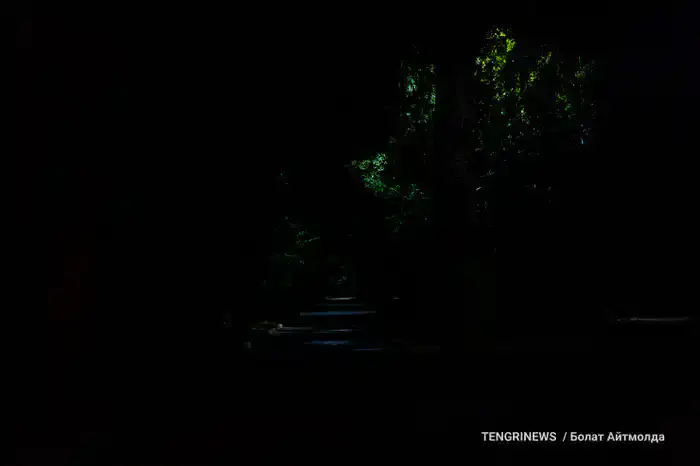 Тёмная аллея в роще Баума, Алматы, 13 августа 2025 года