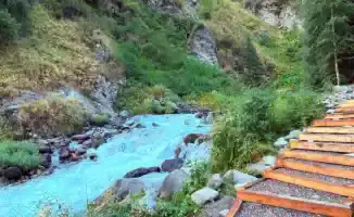 Казахстанцы выражают недовольство антисанитарией и мусором в Алма-Арасане