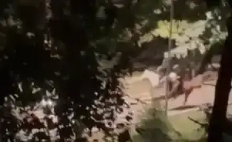 В Алматы всадники без голов: реальность или миф?