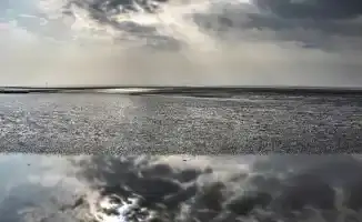 Гроза и шквал: Казахстан готовится к изменчивой погоде 23 августа. В Астане и Кокшетау ожидаются дожди, в то время как в других регионах страны возможны пыльные бури. Синоптики предупреждают о резком ухудшении погодных условий, что может повлиять на перед