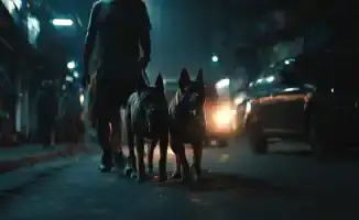 Ссора в Алматы: собака вмешалась в мужской конфликт