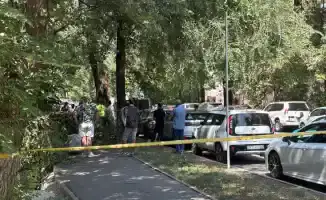 Смертельный удар природы: ветка, как меч, унесла жизнь 27-летней алматинки