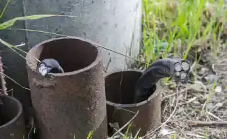 Безопасность детей в жилых комплексах под угрозой: трагический инцидент в Алматы вызывает проверки