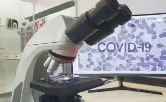 Увеличение случаев заражения штаммом 'Стратус' в России: возможные последствия для системы здравоохранения и общественной безопасности