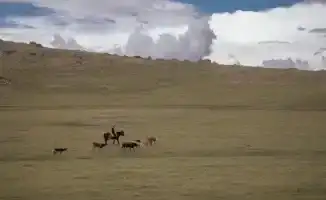 Жара до +38°C и грозы с градом: Казахстан готовится к погодным контрастам 26 августа