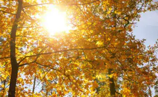 Казахстан: Жаркая погода до +31°C ожидается в ряде городов 24 сентября