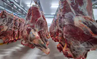 Горячая линия по вопросам говядины в Казахстане: как это повлияет на рынок и потребителей