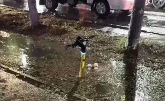 Алматы: дожди обнажили проблемы арыков и дорог