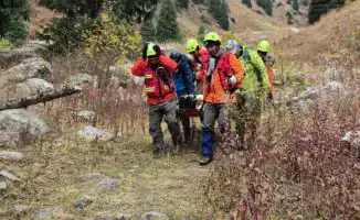 Словацкий турист получил серьезные травмы в горах Алматы: спасатели оказали помощь