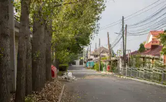 Улица в Алматы будет названа в честь олимпийского фигуриста Дениса Тена