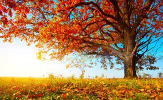 Казахстан: контрастные погодные условия между югом и западом в конце сентября