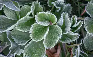 В Казахстане ожидаются заморозки: прогноз погоды на 3 сентября от Казгидромета