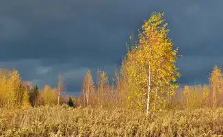 Циклон: от гроз до заморозков в Казахстане!