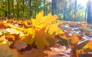 Казахстанцев ждёт резкое изменение погоды: от жары до холода