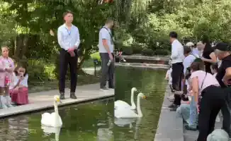 Лебеди под защитой: в Ботаническом саду Алматы появились стражи пернатых, охраняющих мир и красоту от жестокости