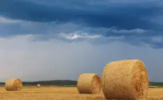 В Казахстане ожидается резкое ухудшение погоды: усиление ветра и грозы 25 сентября