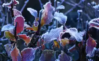 Сентябрьский циклон принесет в Казахстане ливни и резкое похолодание, ожидаются негативные последствия для сельского хозяйства и инфраструктуры