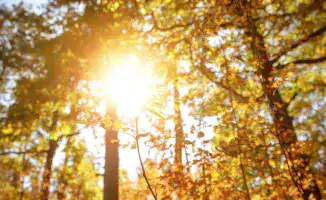 Синоптики Казгидромета представили прогноз погоды на 23, 24 и 25 сентября, сообщив о возвращении тепла в Казахстан.