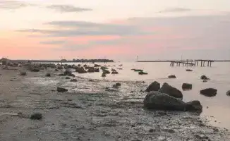 Токаев призывает ООН к действиям по спасению Каспия и предлагает провозгласить 22 апреля Международным днем озеленения