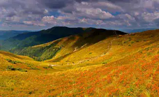 Циклон с грозами и шквалистым ветром ожидается в Казахстане: синоптики предупреждают о резком ухудшении погоды 19 сентября