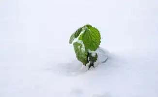 Казахстан готовится к резкому похолоданию и снегопадам в выходные