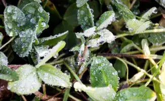 Казахстан готовится к заморозкам и дождям: прогноз на неделю