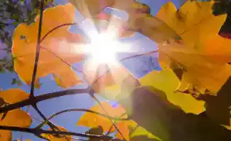 Казахстан готовится к жаре: температура поднимется до +37°C в субботу, 6 сентября